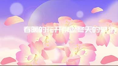 情人节爱人七夕求婚快闪浪漫背景视频视频的预览图